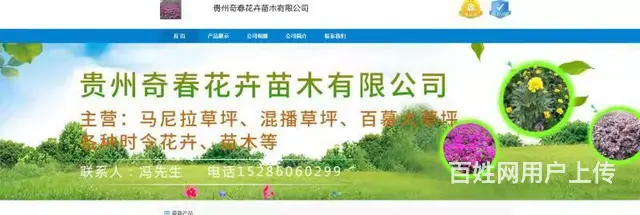 贵州草花，时令草花，四季草花，工程草花，花卉批发 - 图片 5