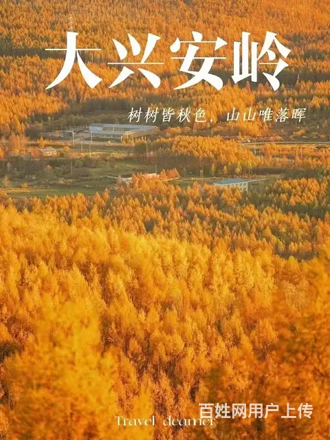 呼伦贝尔旅游包车师傅排名穿越草原户外品质包车 - 图片 5