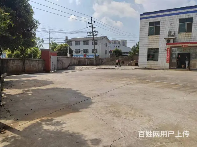 （老板本人）开福区捞刀河中青路南方驾校附近场地出租 6206 - 图片 4