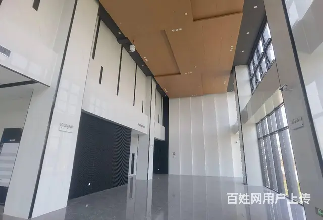 鲸丰全新写字楼出租 45平到2000平都有 纯办公 环境好 - 图片 8