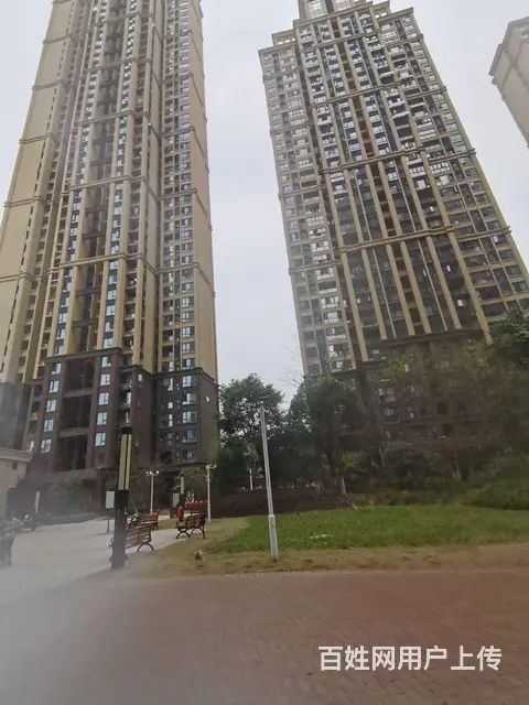 东湖城二期 婚房次出租 中央空调 华侨城对面 园林 - 图片 10
