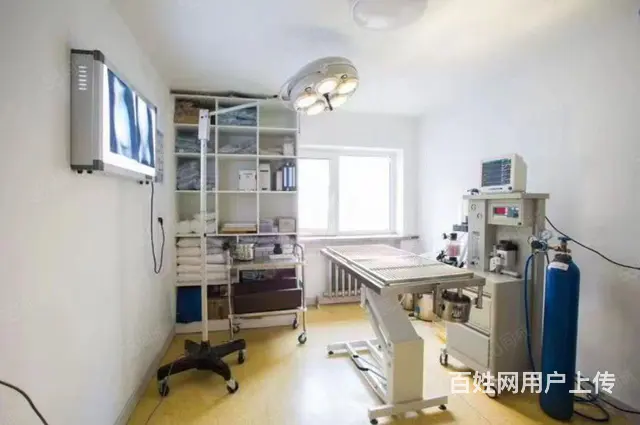 南岗铁路街门市出租 - 图片 6