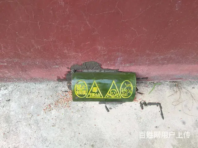 双峰县专业灭老鼠灭蟑螂灭白蚁等 - 图片 7