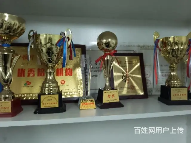 沈阳教成年人速成学古筝可以直接弹曲子 - 图片 4