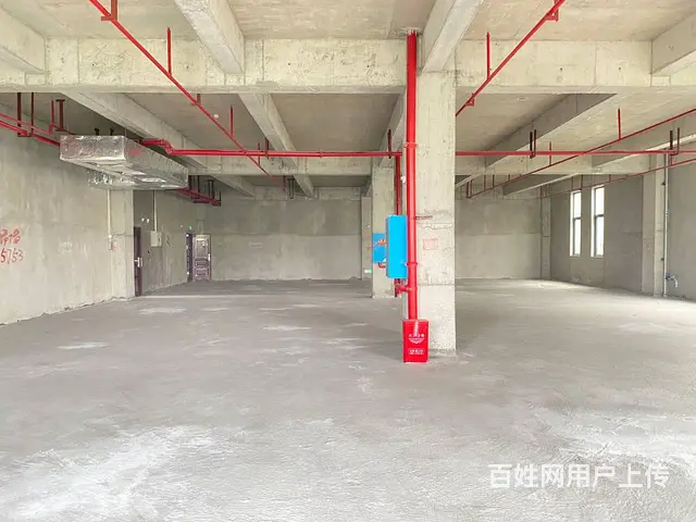 （房东直租）中青路佳海园区775平厂房优价出租，可分租 - 图片 8