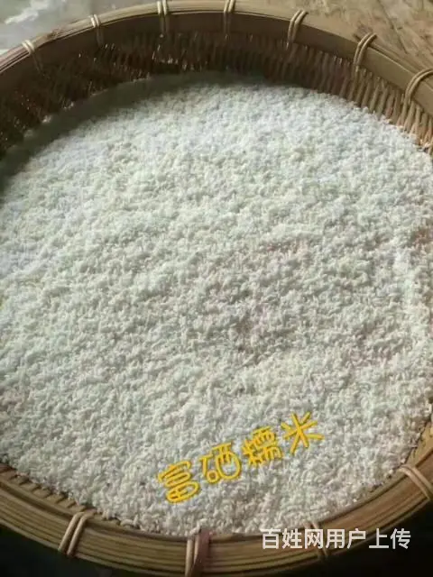 定安本地黑猪肉粽 - 图片 6