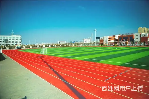 跑步健身哪种频率更适合 - 图片