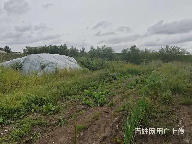 养殖牛羊，打造自己的领地 - 图片 9