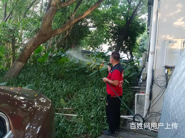 白蚁防治、虫害消杀 - 图片 3