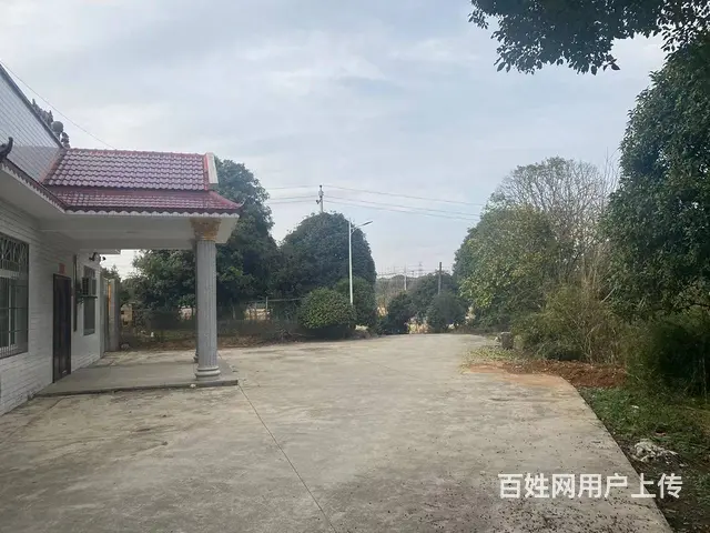 （房东直租）长沙县黄花镇整栋房屋院子带前后10亩空地优价出租 - 图片 3