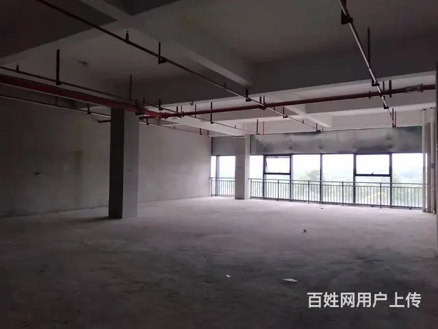 （老板本人）佳海工业园商铺/写字楼房东低价出租 - 图片 4