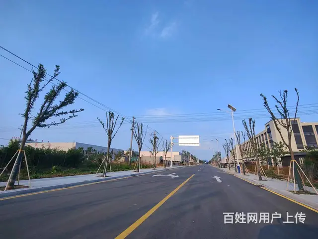（徐州找店网）埇桥区工业园区钢结构厂房出租 - 图片 9