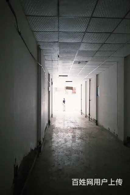 出租森林实验圣泉小学对面的门面临街，离地铁近 - 图片 3