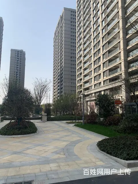 新出急售 龙湖龙誉城旁 五星星韵城 位置好中层户型 - 图片 12
