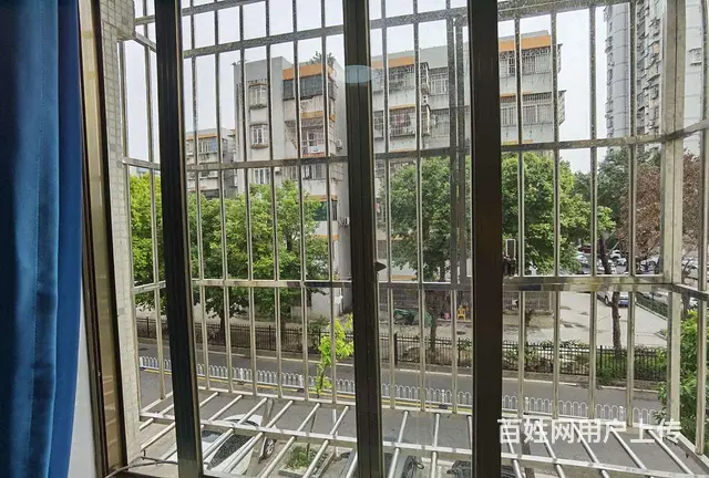 夏湾侨怡园全新精装大公寓出租，租价1400。包管理费和网络 - 图片 7