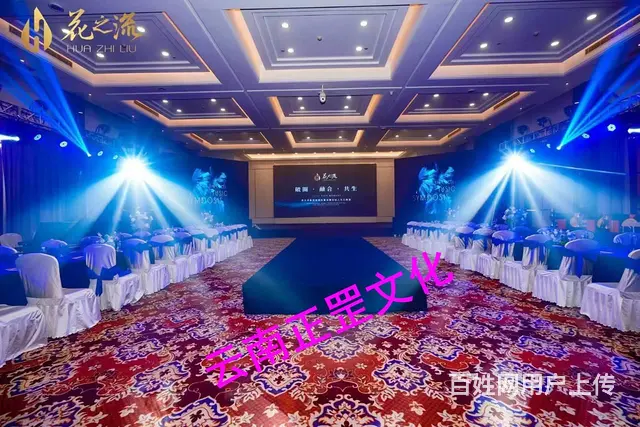 会议录制、现场直播、婚礼跟拍、摄影摄像、航拍、剪辑 - 图片 7