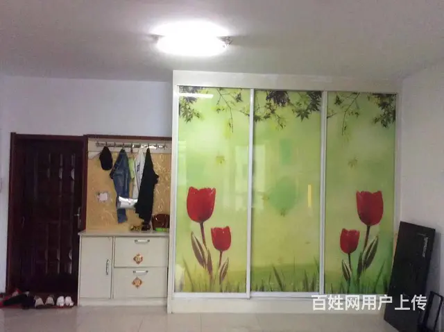 沿湖小区 普通住宅 简单装修 - 图片 3