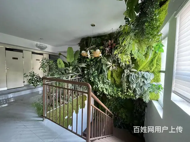 张店区水晶街营业中剧本杀整体出 - 图片 4