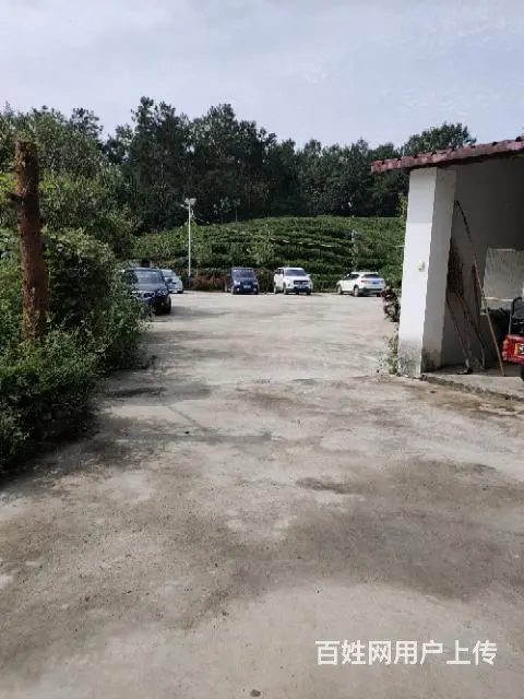 美丽农庄欢迎您来合作 环境好 路况好 非诚勿扰 - 图片 6