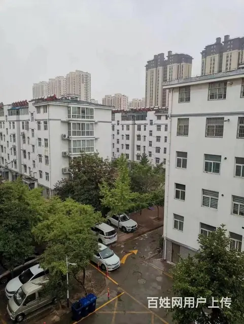 2012年多层小洋房，三室两厅精装修双气证过二，环境优美 - 图片 8