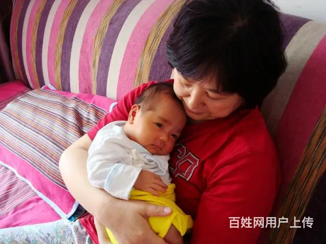 免费培训专业月嫂，育婴师，育儿嫂，母婴护理师 - 图片 5