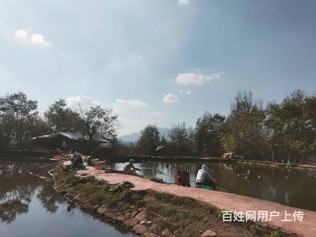 （51旺铺推荐）安宁5亩3个鱼塘转让 - 图片 6