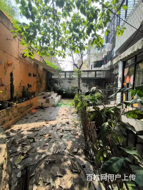 （51旺铺推荐）国贸梦苑小区68平阁楼出租 - 图片 11