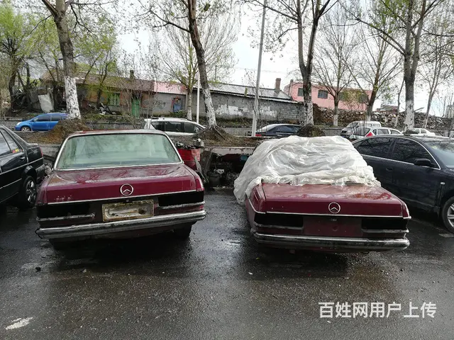 奔驰老爷车 - 图片 2