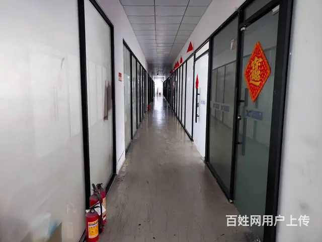 低价办公 珠海翠微 蓝海金融附近 210㎡ 33元/㎡免中介 - 图片 6