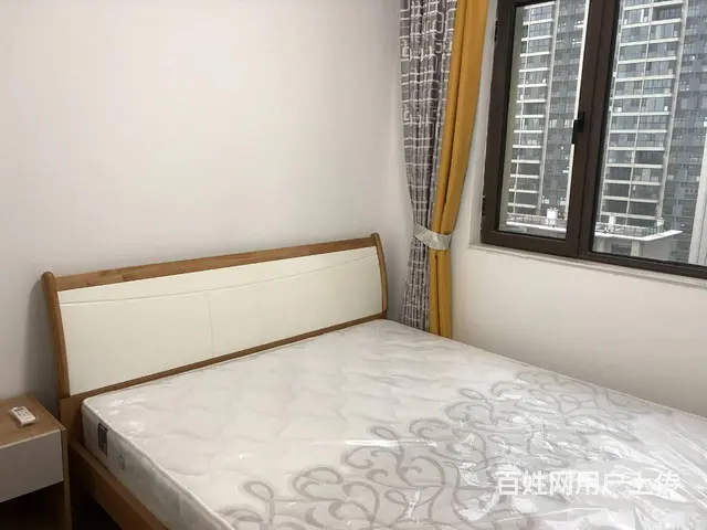 碧桂园浅水湾 普通住宅2厅 精装修 - 图片 3