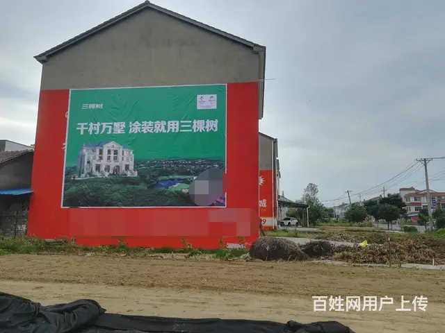 湖北墙体广告_湖北门头店招_荆门墙体广告_墙体彩绘 - 图片 6