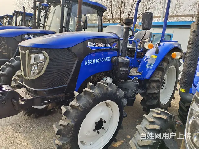 福田55418年大高花 - 图片 3