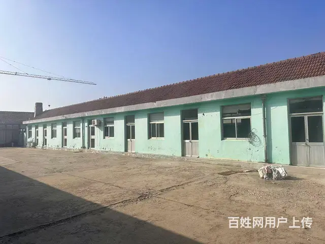 （新房源）张村前双岛村独门独院厂房招租 - 图片 12