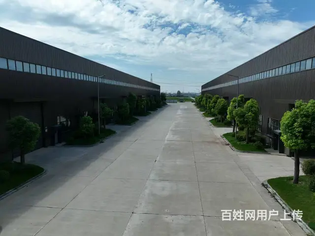 （城市在线找房免费）金山桥金港路附近标准钢结构厂房出租 - 图片 2