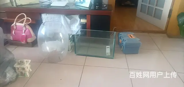 鱼缸 - 图片 4