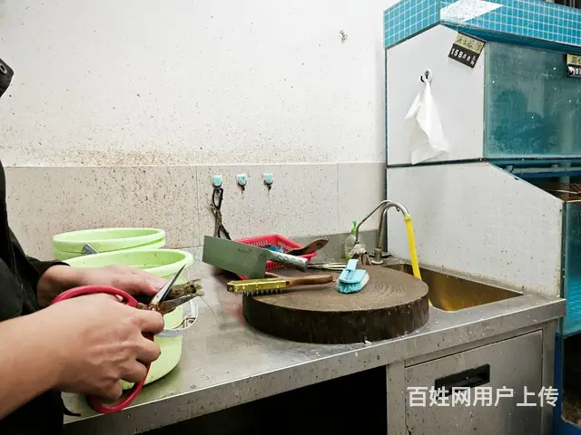 （老板本人）长沙县繁华商圈，网红中茂城精装海鲜水产店低价转让 - 图片 7