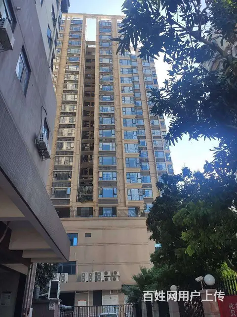 诚丰嘉座,~~干净清爽1室 ,看房方便，价格便宜 - 图片 10