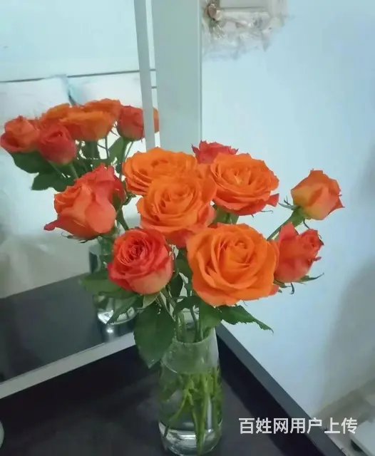 邢台帮脱单婚介群 - 图片