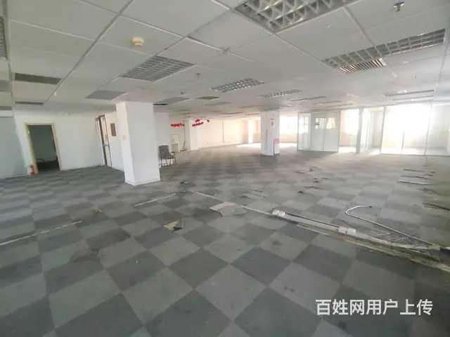 五里河丨青年大街丨华新国际丨485平丨30万出租丨万鑫 仁恒 - 图片 4