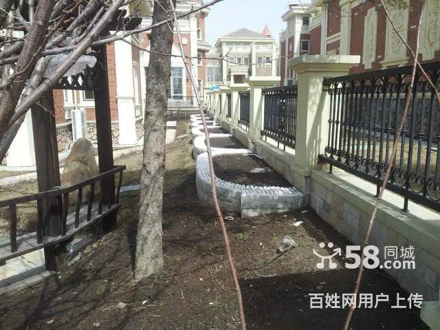 树木卖鹿粪鸡粪 猪粪 黑土 花土 假条茄子秧 - 图片 4