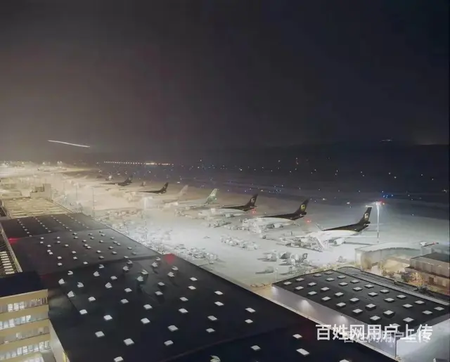 成都武侯区主营加拿大，美国海运拼箱/整柜双清DDU/DDP - 图片 5