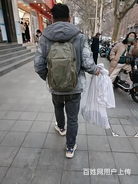 洛阳猫咪丢了还能找回来吗洛阳找猫团队真的能找到吗 - 图片 1