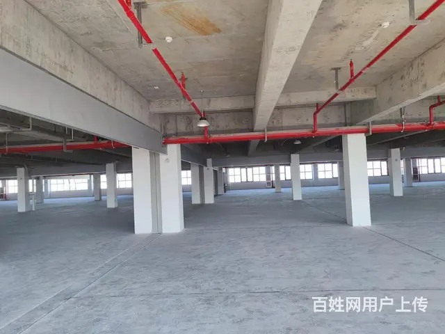 浙江商储智慧冷链仓储有限公司 - 图片 5