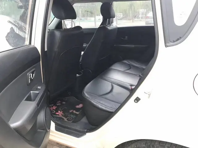 起亚 秀尔 2010款 2.0 手动 GLS - 图片 8