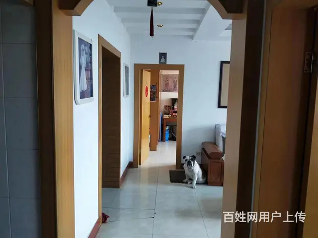 植物园对面 普通住宅 中等装修带地下室 - 图片 4