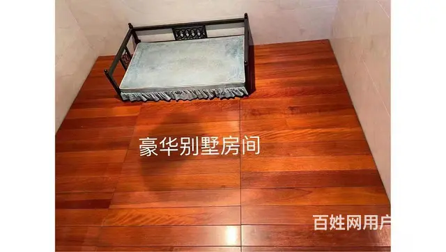昆山宠物训练寄养学校 - 图片 6