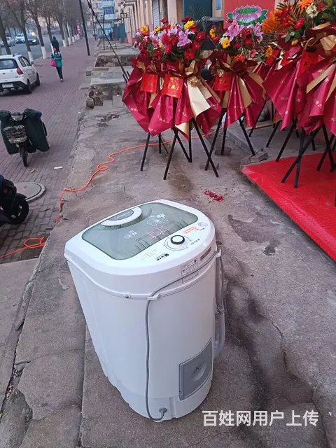 出售甩干桶小天鹅牌 - 图片 4
