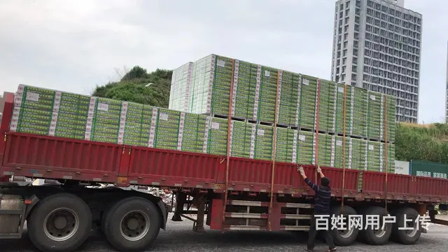 常州办公室装修 天宁厂房装修隔断吊顶 钟楼办公室 - 图片 4