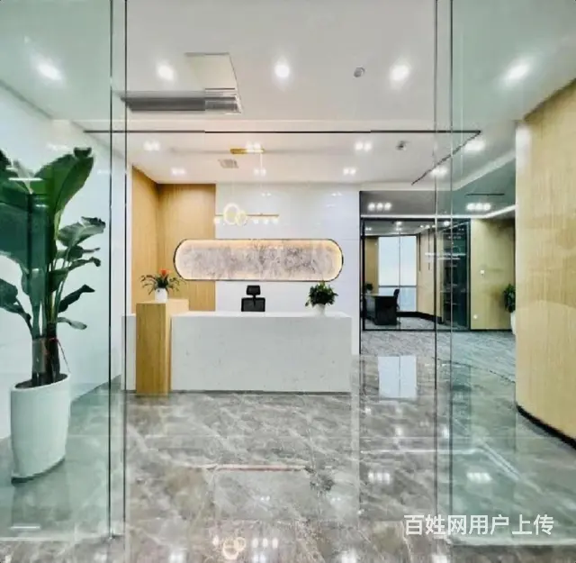 洛龙区核心地段写字楼！正大国际西区210平豪华装修带家具 - 图片 1