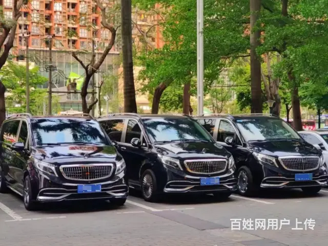 苏州租车，帕萨特出租，政府企业租用帕萨特，上海租车 - 图片 2
